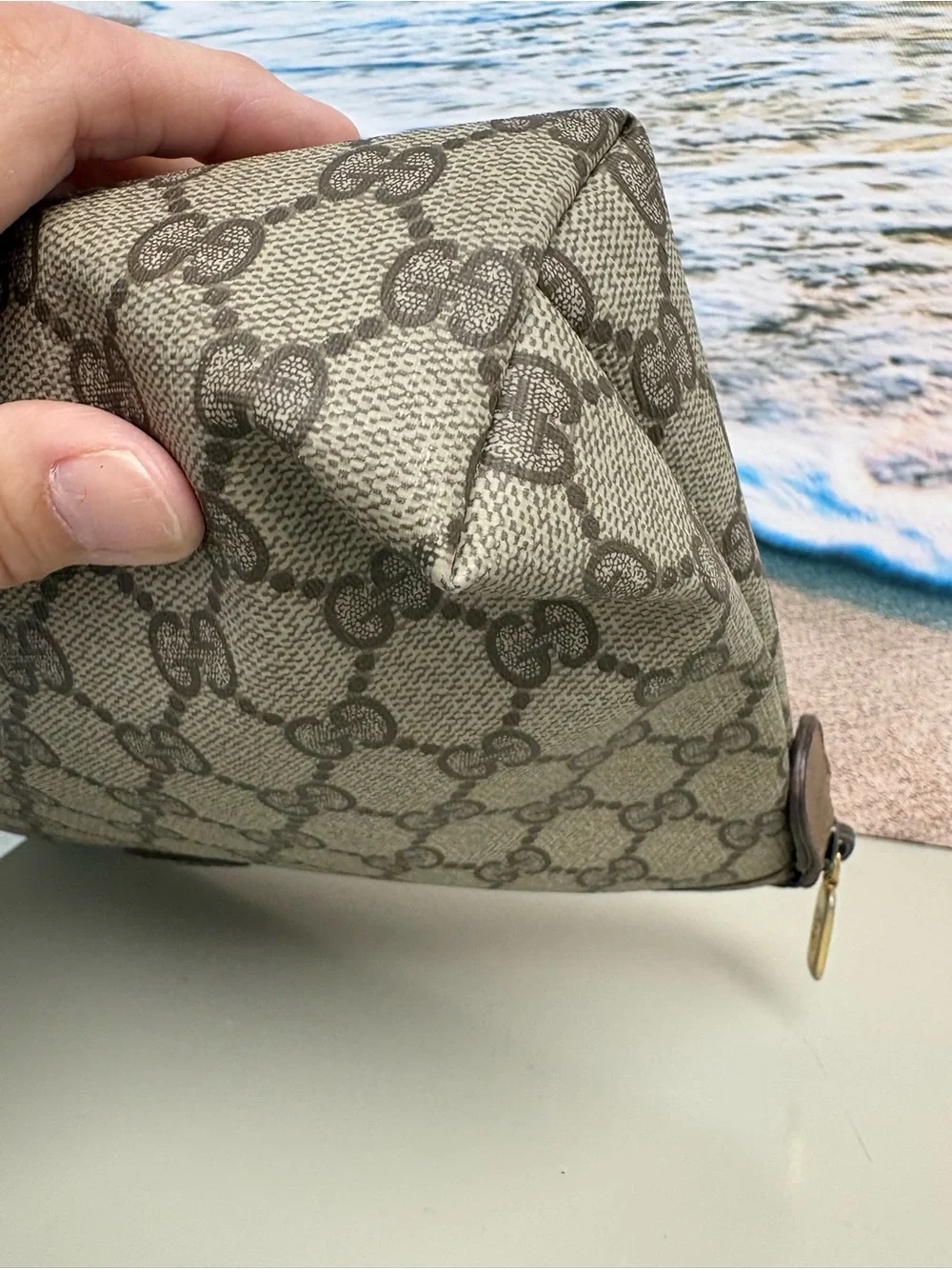AUTH Vintage Gucci Accessory Collection GG Supreme Clutch Pouch Bag 89.01.045
